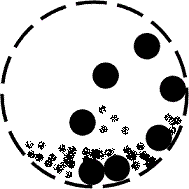 Ͳw(ni)|(zh)\D